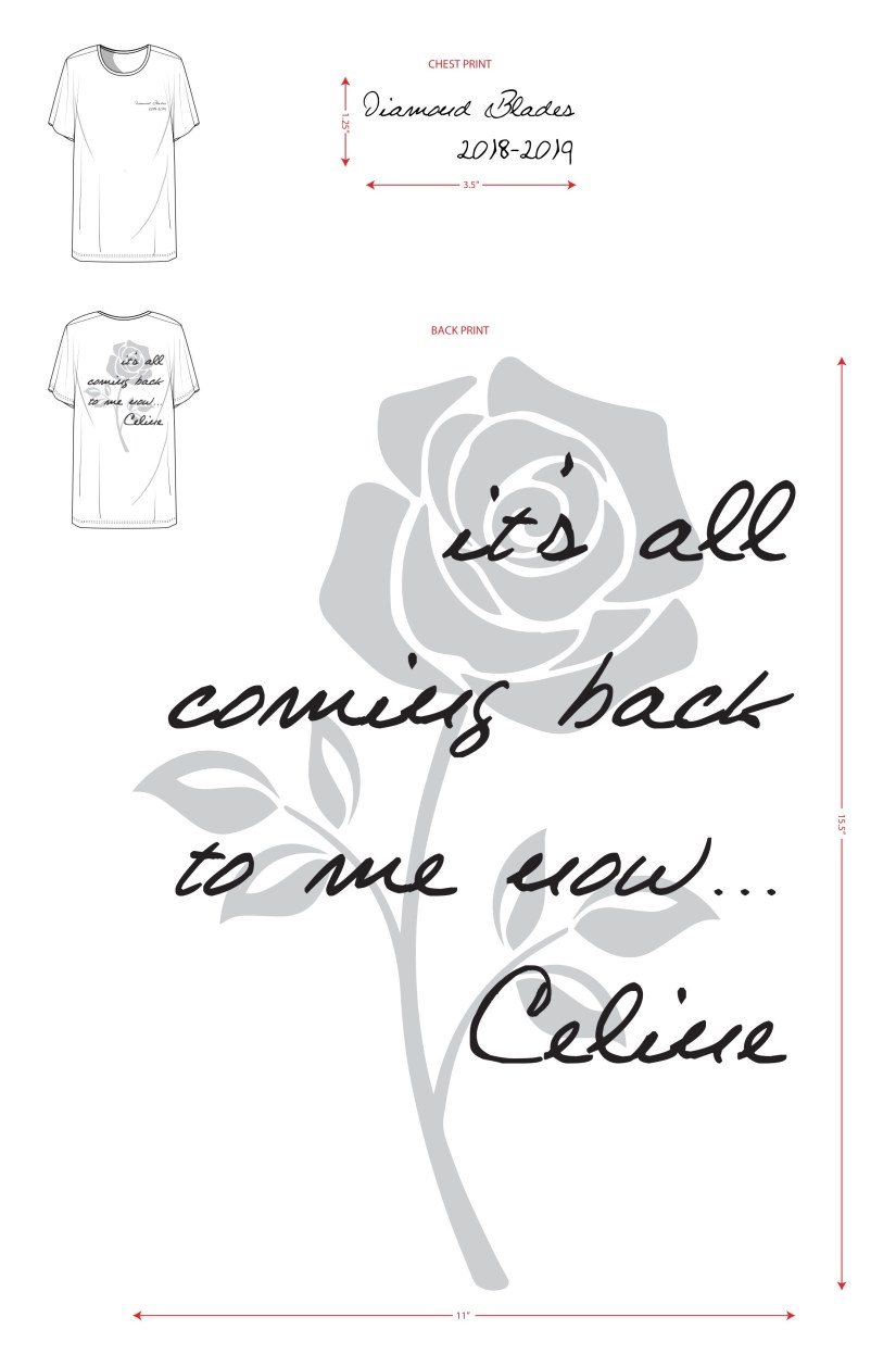 diamond blades 2018-2019