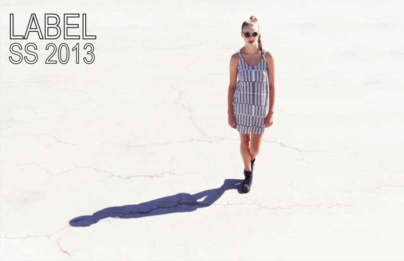 label 2013 copy